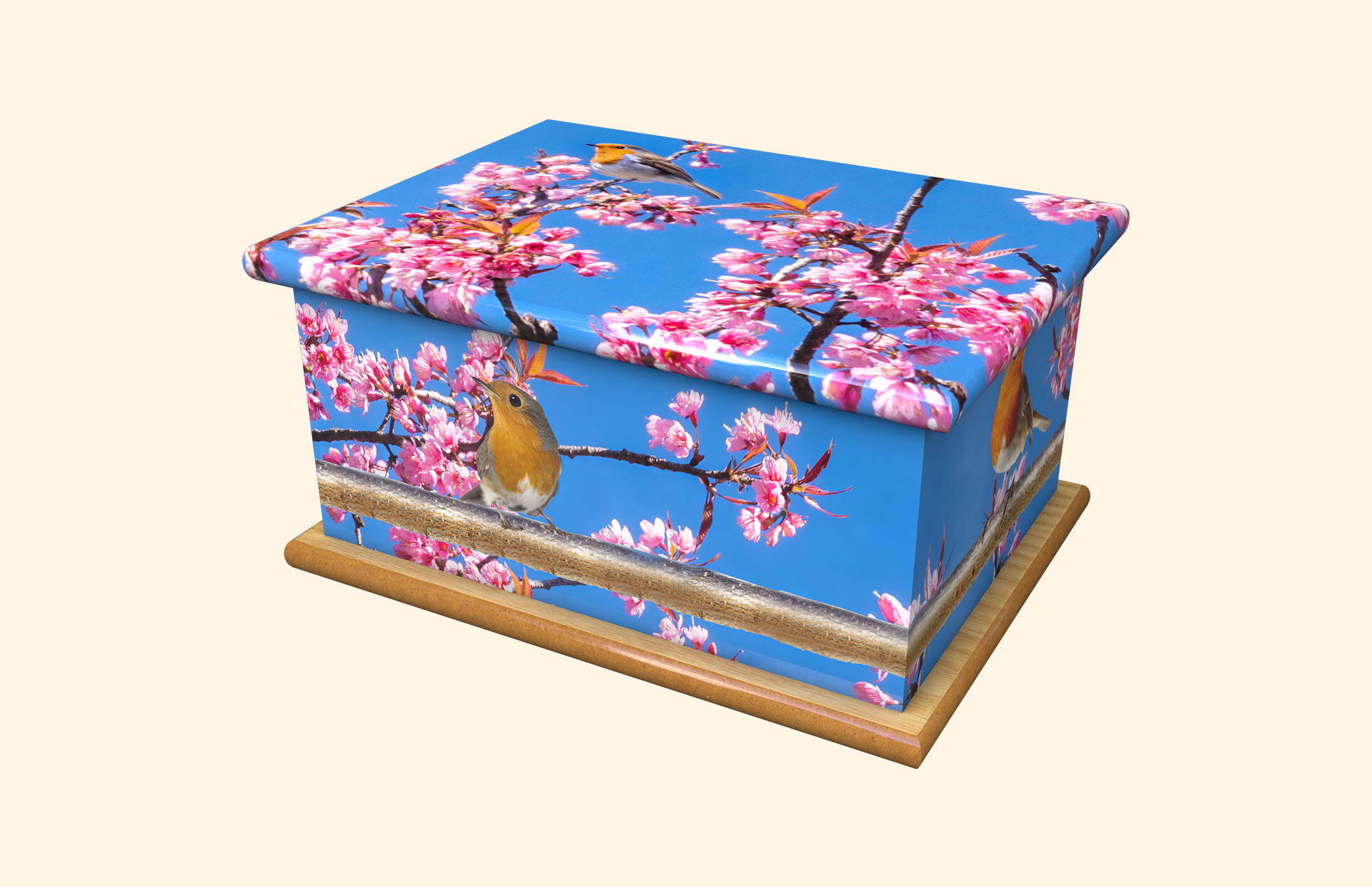 Robin Redbreast adult ashes casket